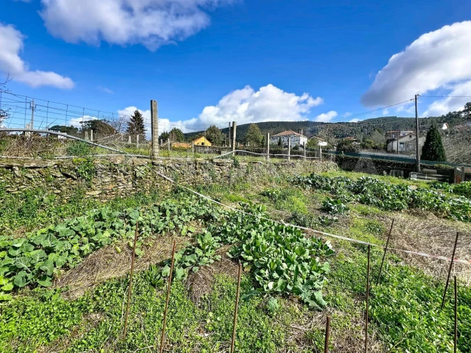 Terreno para Venda em Argela Foto 12