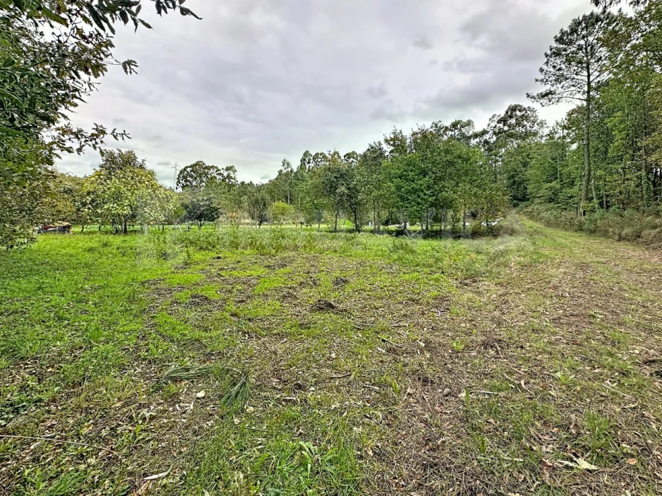 Terreno para Venda em Ganfei Foto 5