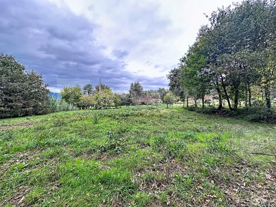 Terreno para Venda em Ganfei Foto 8