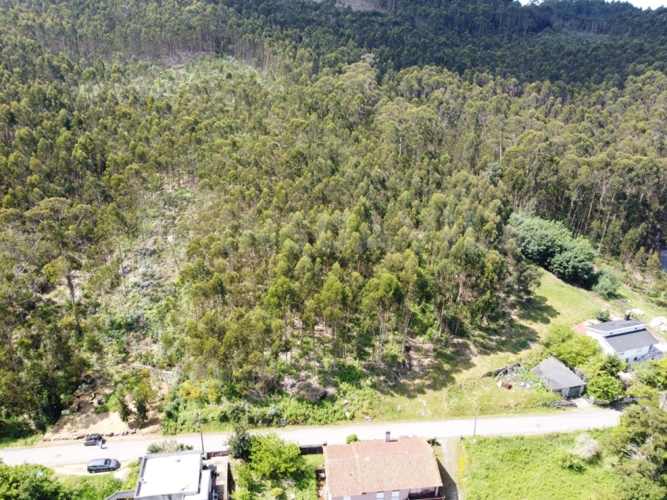 Terreno para Venda em Caminha (Matriz) e Vilarelho Foto 1