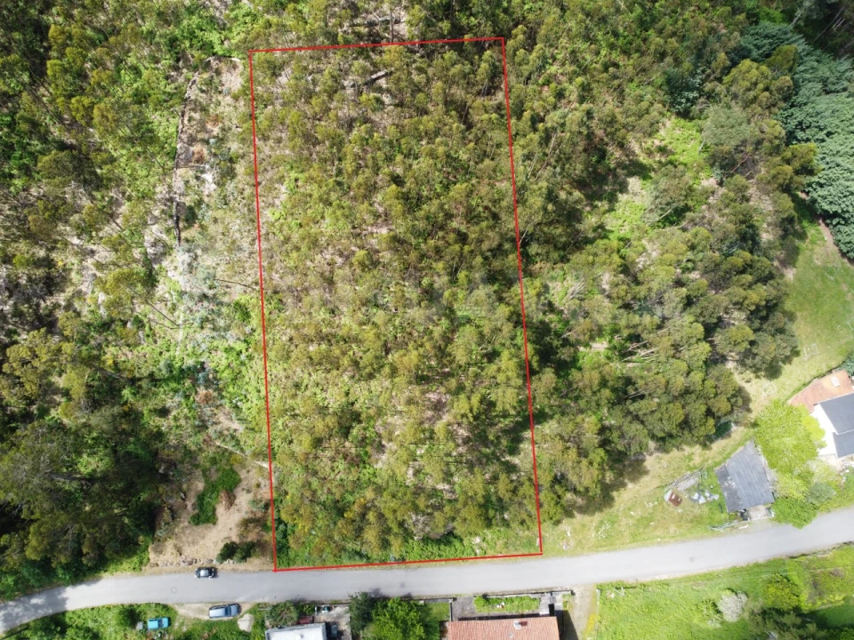 Terreno para Venda em Caminha (Matriz) e Vilarelho Foto 2