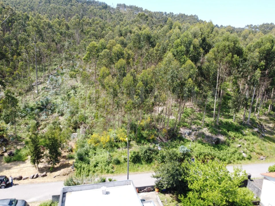 Terreno para Venda em Caminha (Matriz) e Vilarelho Foto 3
