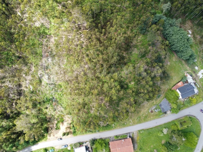 Terreno para Venda em Caminha (Matriz) e Vilarelho Foto 7