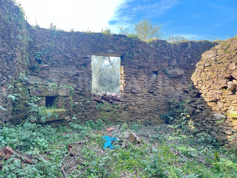 Terreno para Venda em Nogueira, Meixedo e Vilar de Murteda Foto 11