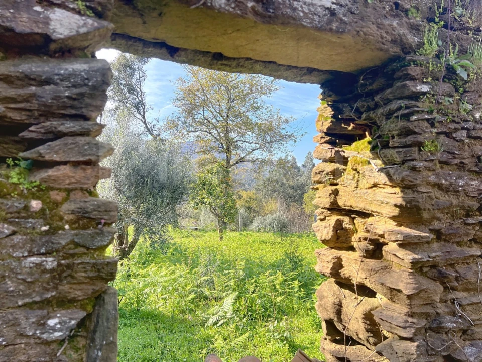 Terreno para Venda em Nogueira, Meixedo e Vilar de Murteda Foto 12