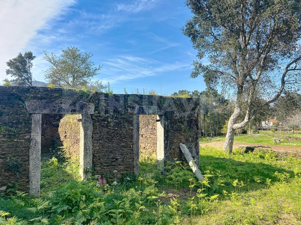 Terreno para Venda em Nogueira, Meixedo e Vilar de Murteda Foto 16