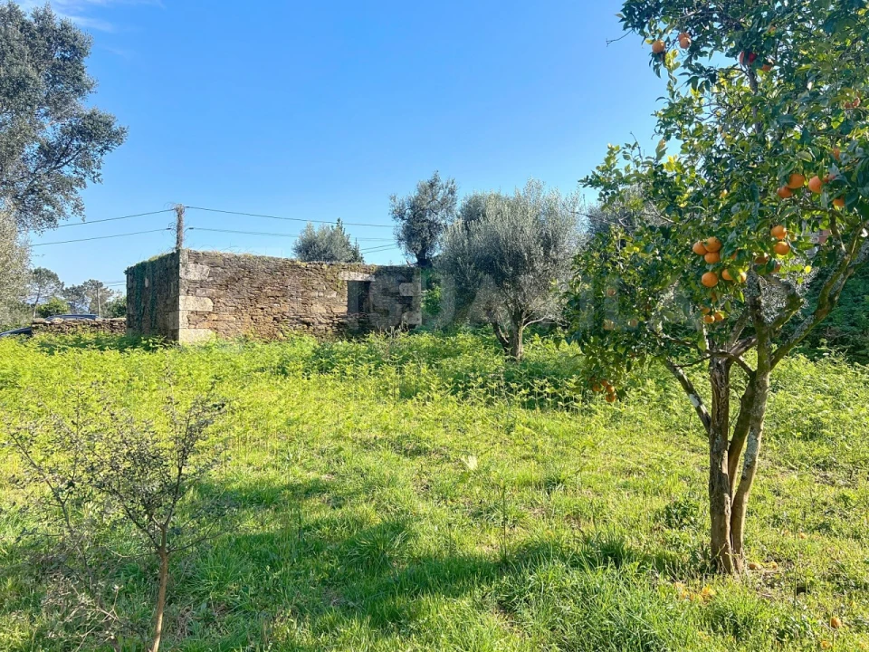 Terreno para Venda em Nogueira, Meixedo e Vilar de Murteda Foto 17