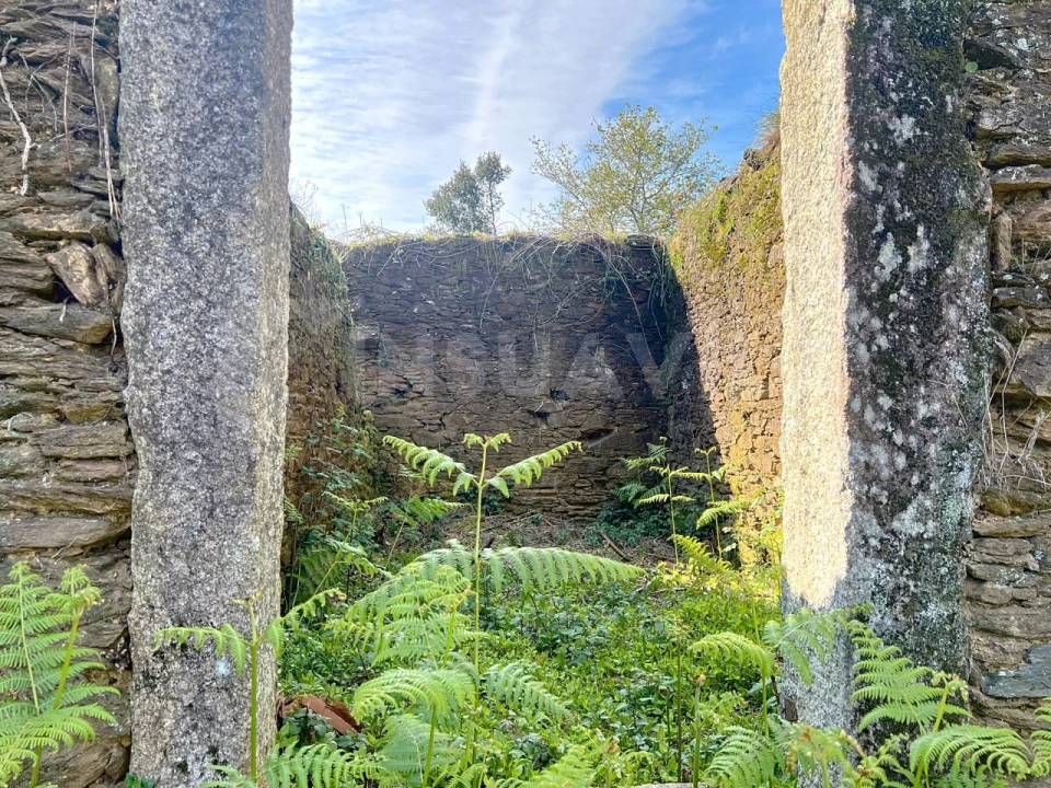 Terreno para Venda em Nogueira, Meixedo e Vilar de Murteda Foto 22