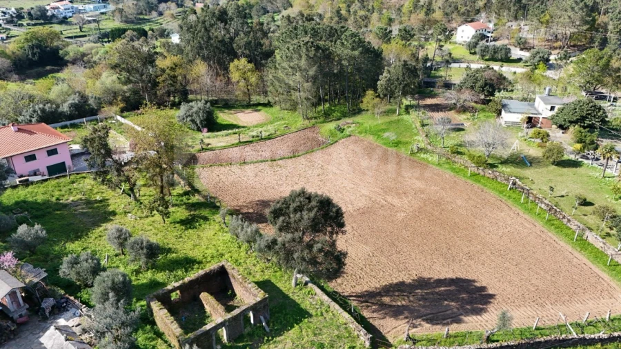 Terreno para Venda em Nogueira, Meixedo e Vilar de Murteda Foto 1
