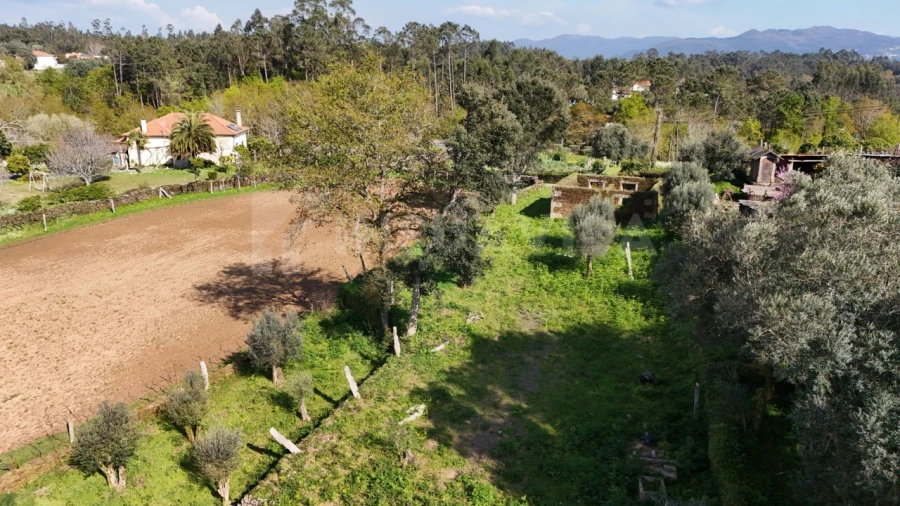 Terreno para Venda em Nogueira, Meixedo e Vilar de Murteda Foto 7