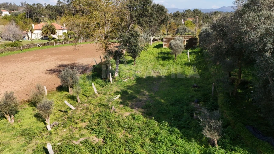 Terreno para Venda em Nogueira, Meixedo e Vilar de Murteda Foto 8
