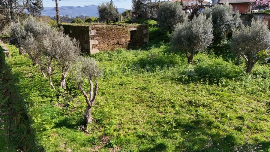 Terreno para Venda em Nogueira, Meixedo e Vilar de Murteda Foto 9
