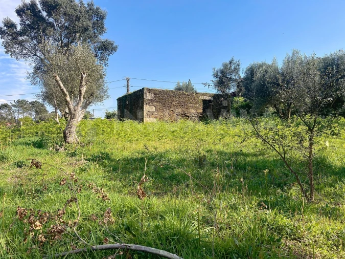 Terreno para Venda em Nogueira, Meixedo e Vilar de Murteda Foto 18