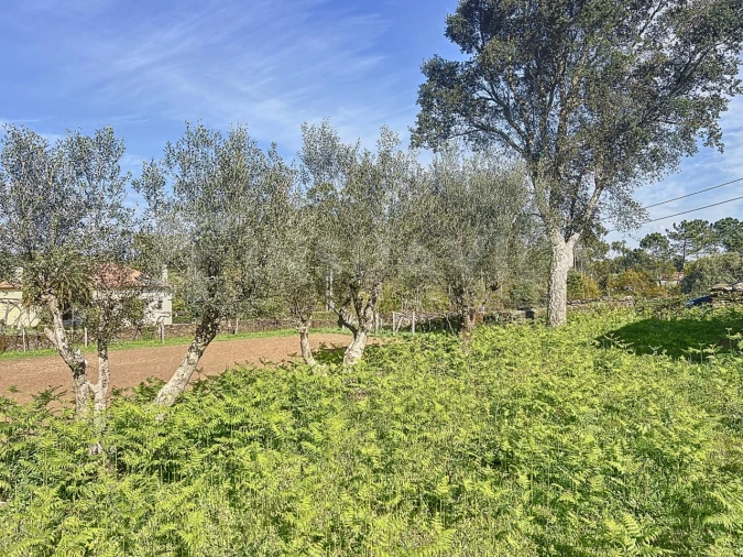 Terreno para Venda em Nogueira, Meixedo e Vilar de Murteda Foto 21