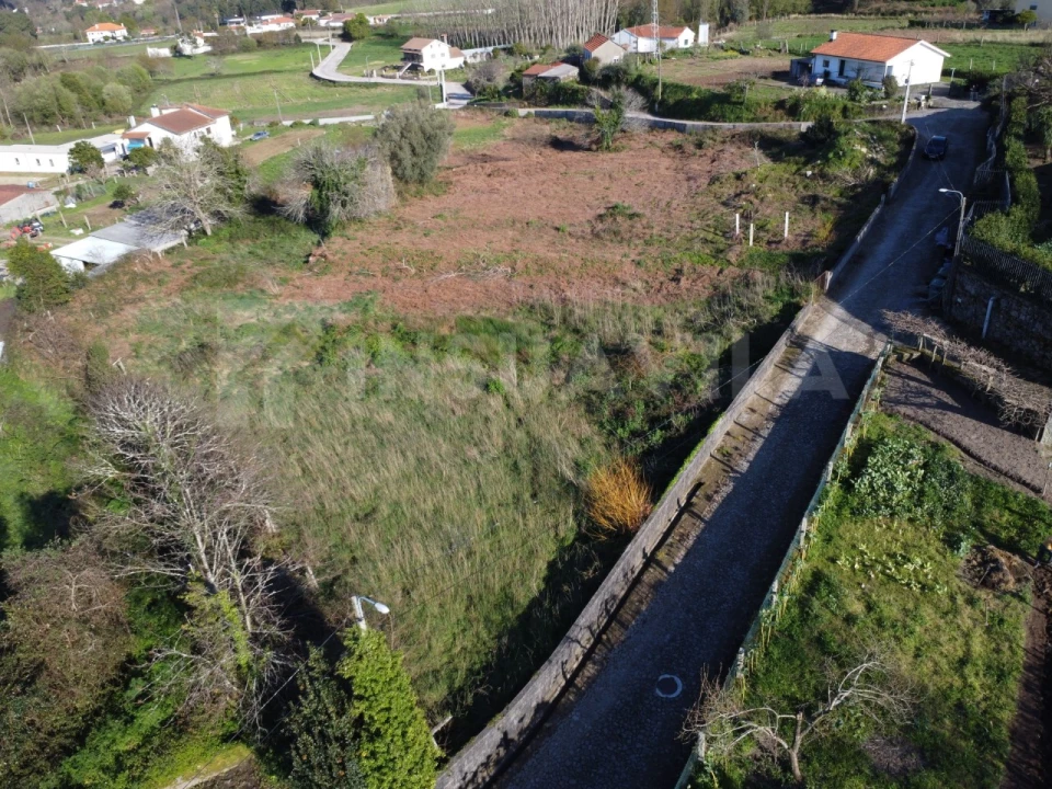Terreno para Venda em Reboreda e Nogueira Foto 5