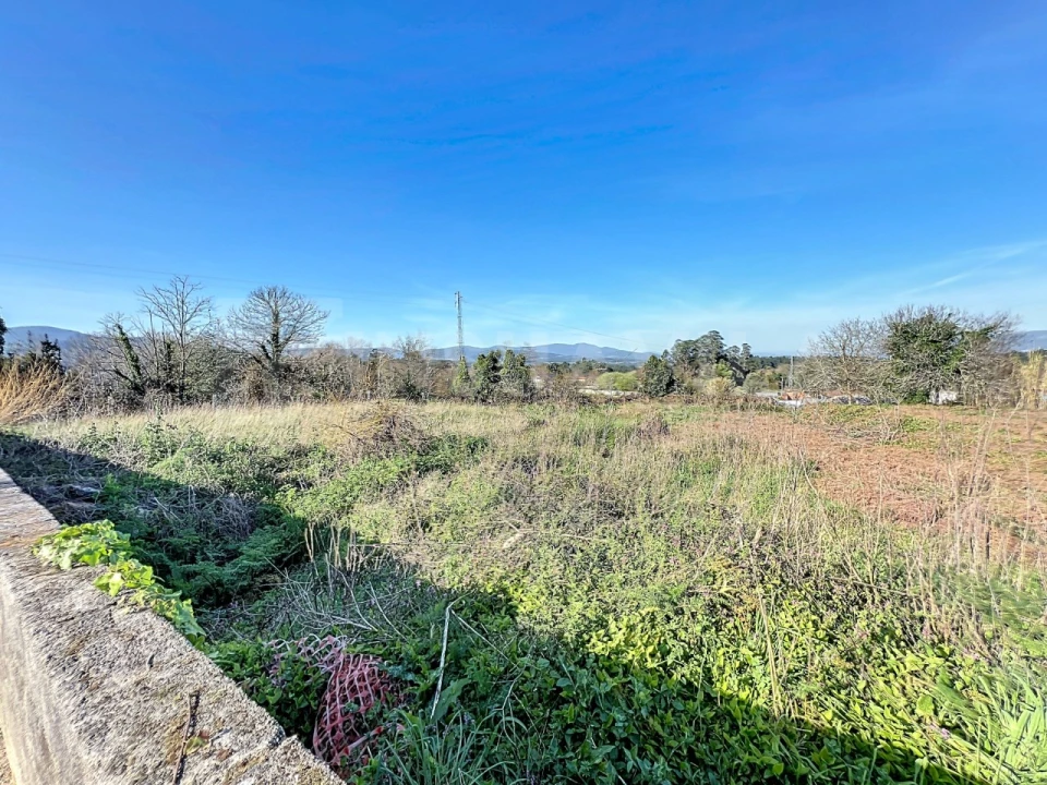 Terreno para Venda em Reboreda e Nogueira Foto 13