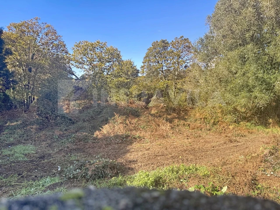 Terreno para Venda em Argela Foto 7