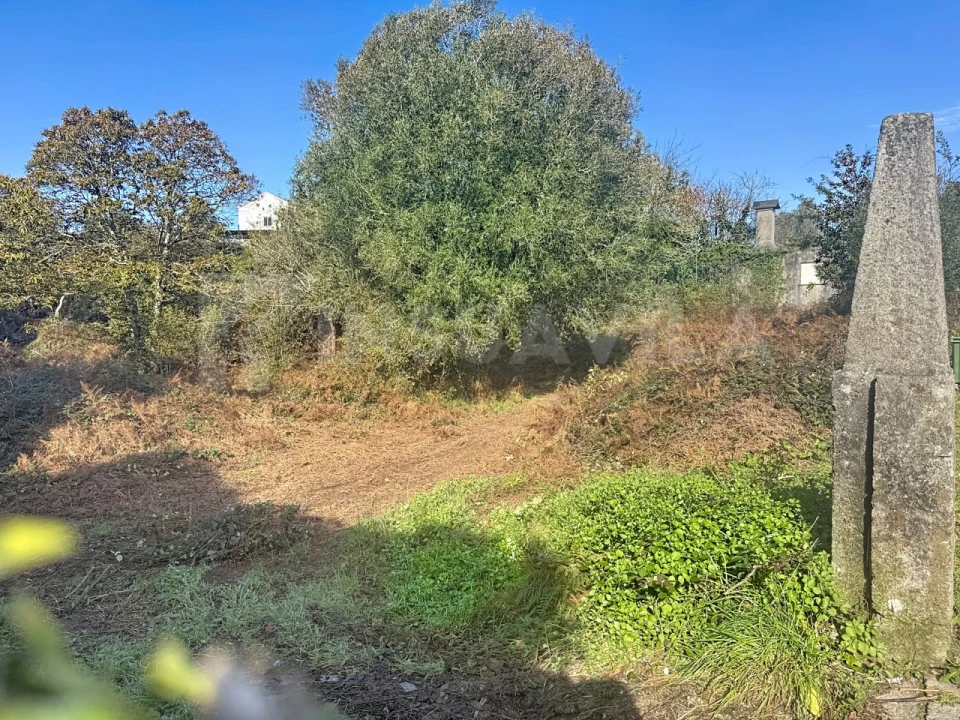 Terreno para Venda em Argela Foto 10