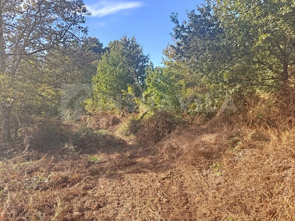 Terreno para Venda em Argela Foto 11