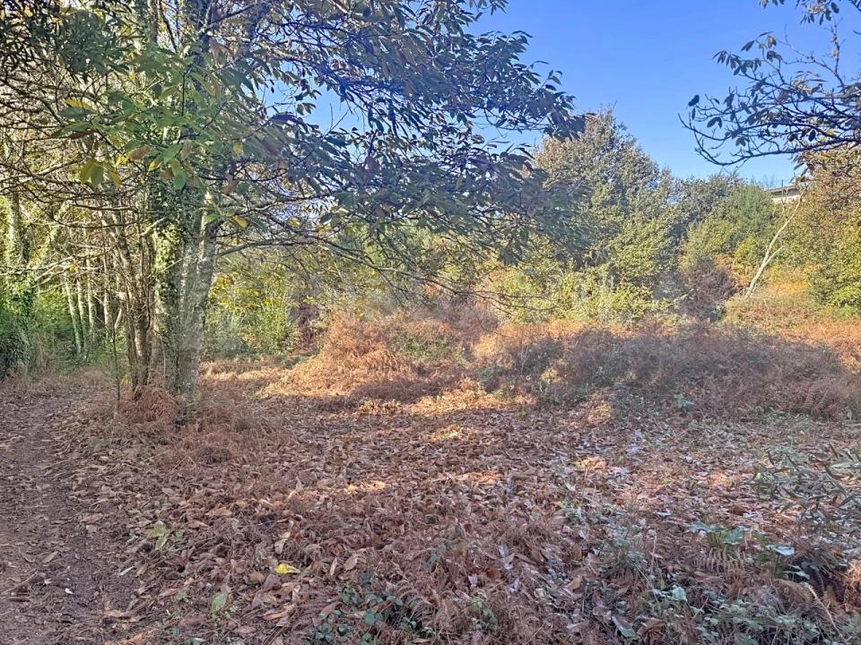 Terreno para Venda em Argela Foto 13