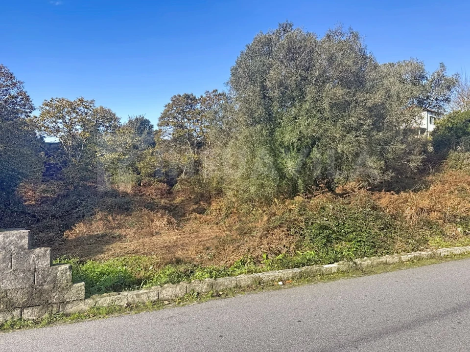 Terreno para Venda em Argela Foto 4