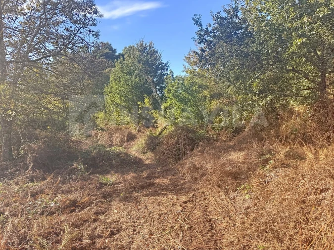 Terreno para Venda em Argela Foto 11