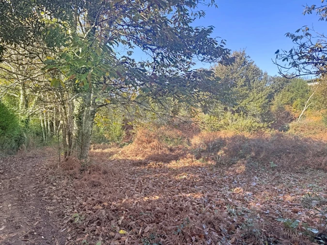 Terreno para Venda em Argela Foto 15