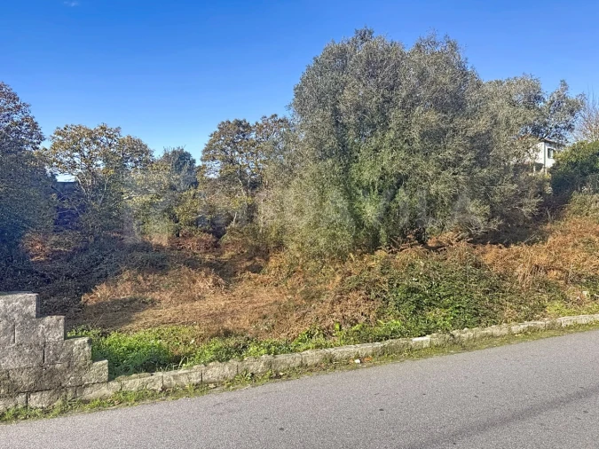 Terreno para Venda em Argela Foto 4