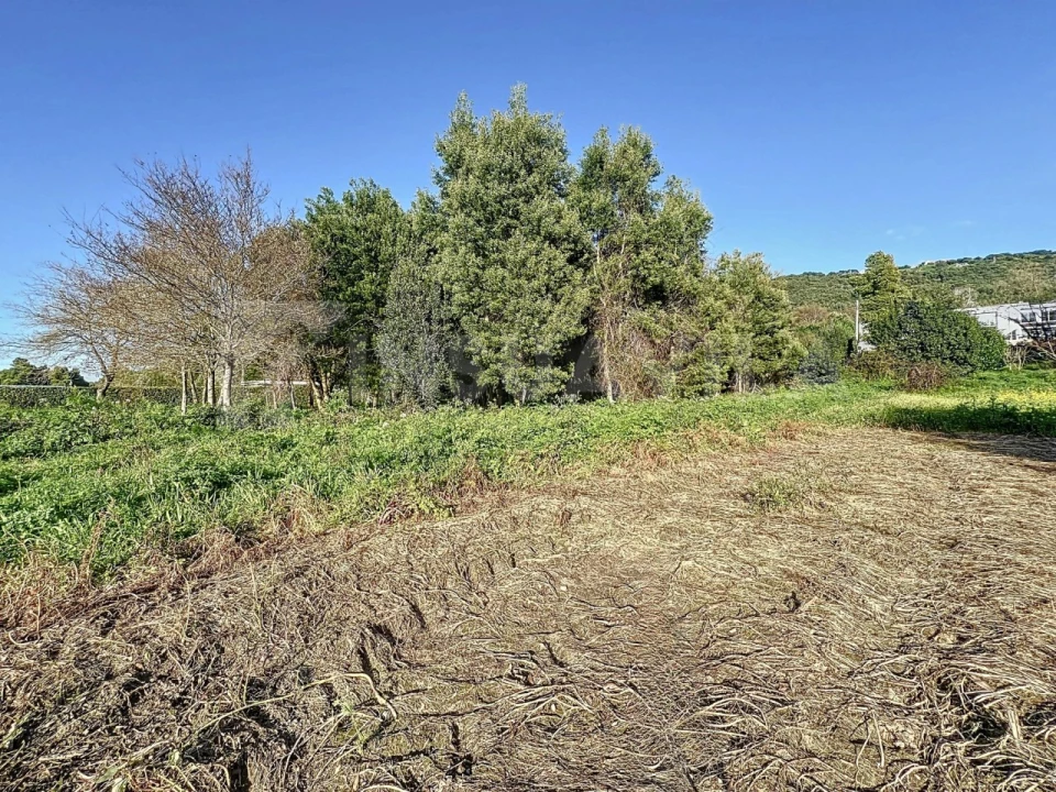 Terreno para Venda em Moledo e Cristelo Foto 8
