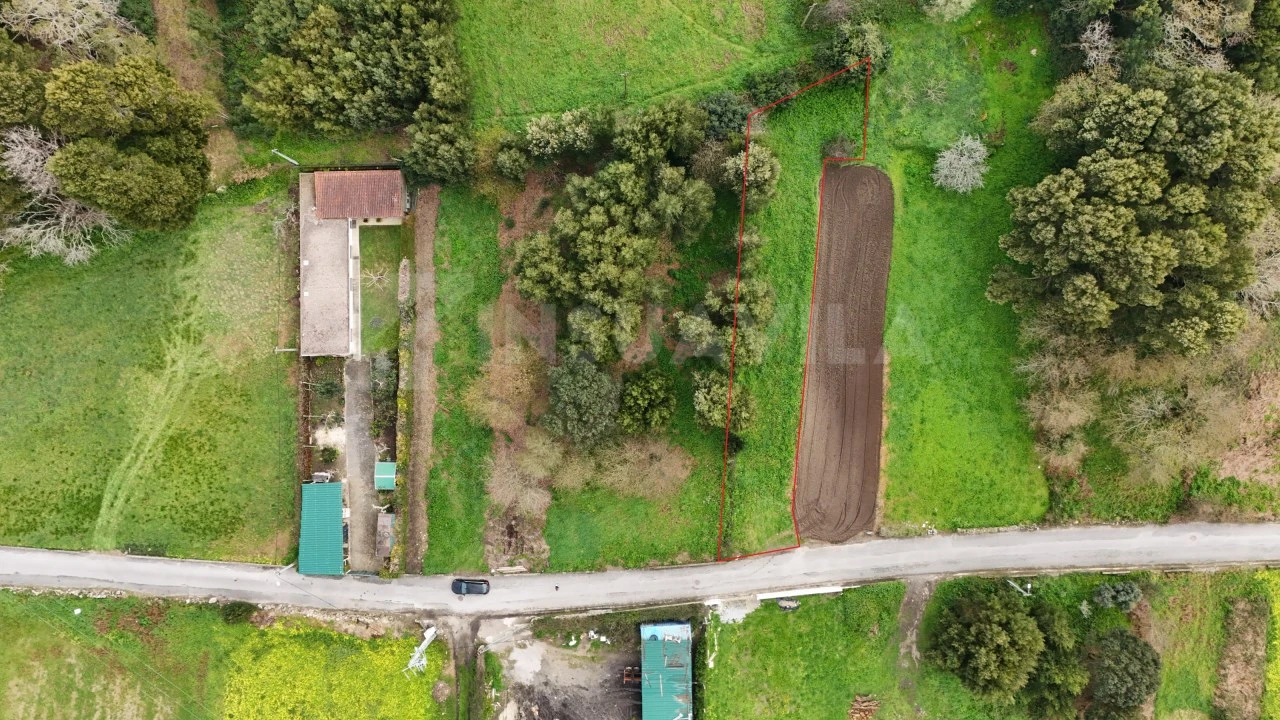 Terreno para Venda em Moledo e Cristelo Foto 2