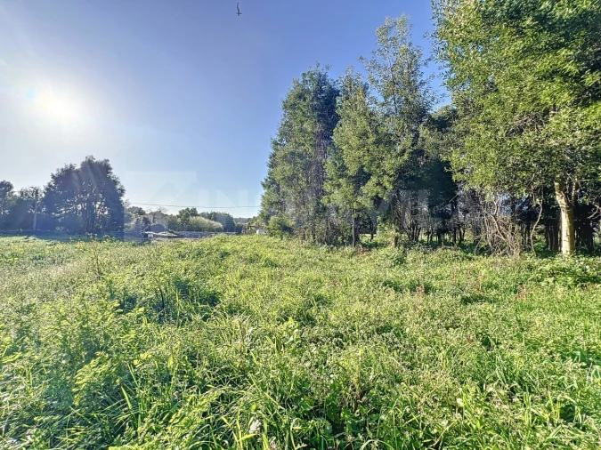 Terreno para Venda em Moledo e Cristelo Foto 4