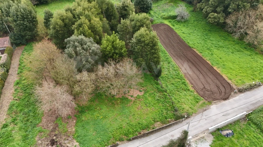 Terreno para Venda em Moledo e Cristelo Foto 3