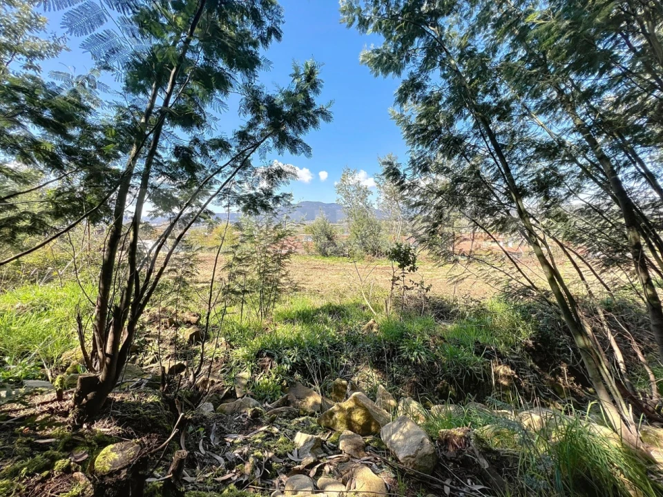 Terreno para Venda em Ganfei Foto 12