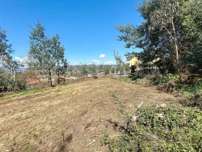 Terreno para Venda em Ganfei Foto 5