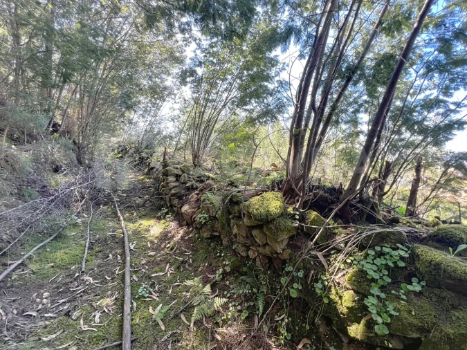 Terreno para Venda em Ganfei Foto 11