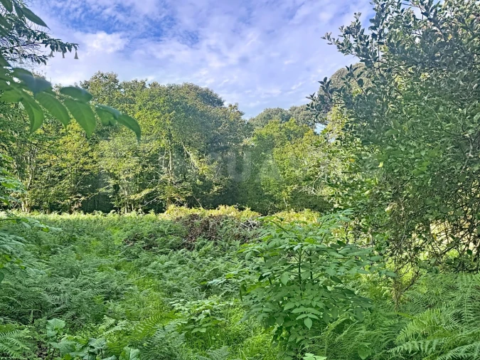 Terreno para Venda em Moledo e Cristelo Foto 4