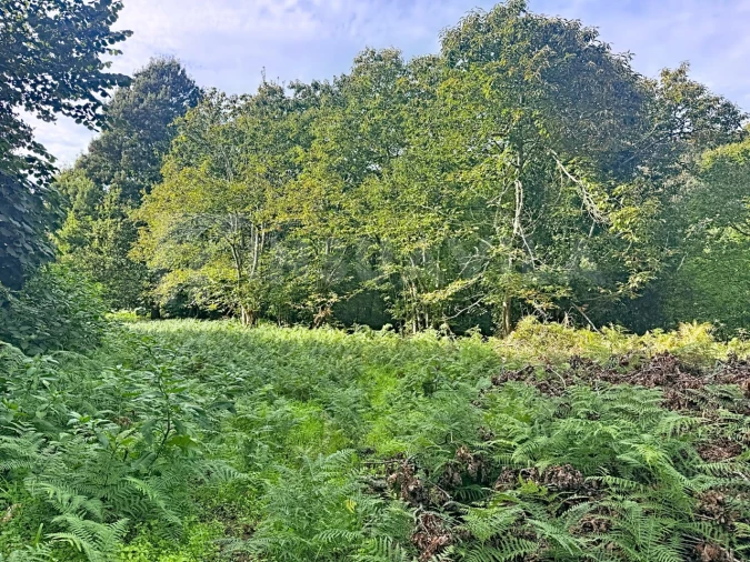 Terreno para Venda em Moledo e Cristelo Foto 5