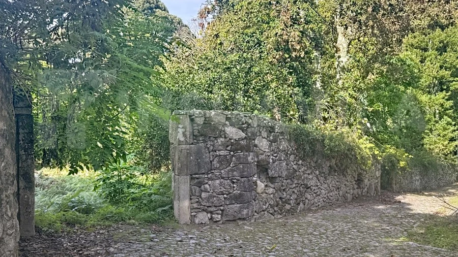 Terreno para Venda em Moledo e Cristelo