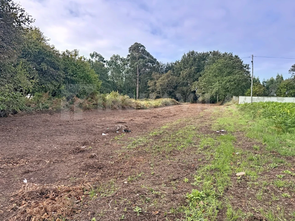 Terreno para Venda em Seixas Foto 7