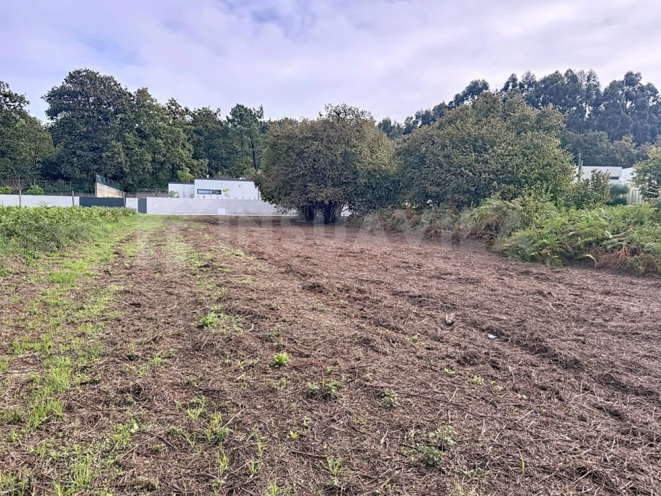Terreno para Venda em Seixas Foto 8