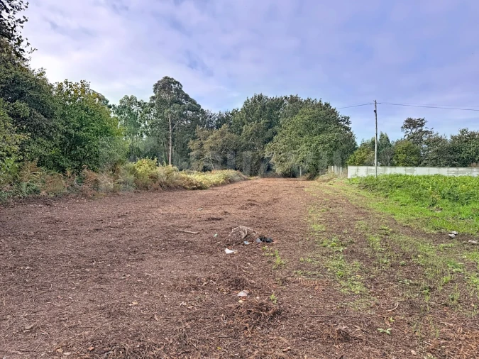 Terreno para Venda em Seixas Foto 5