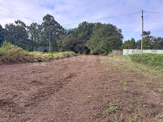 Terreno para Venda em Seixas Foto 6