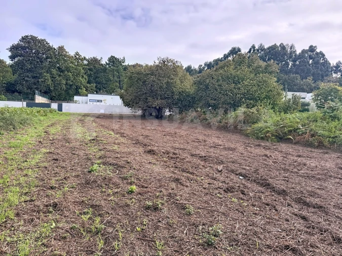 Terreno para Venda em Seixas Foto 9