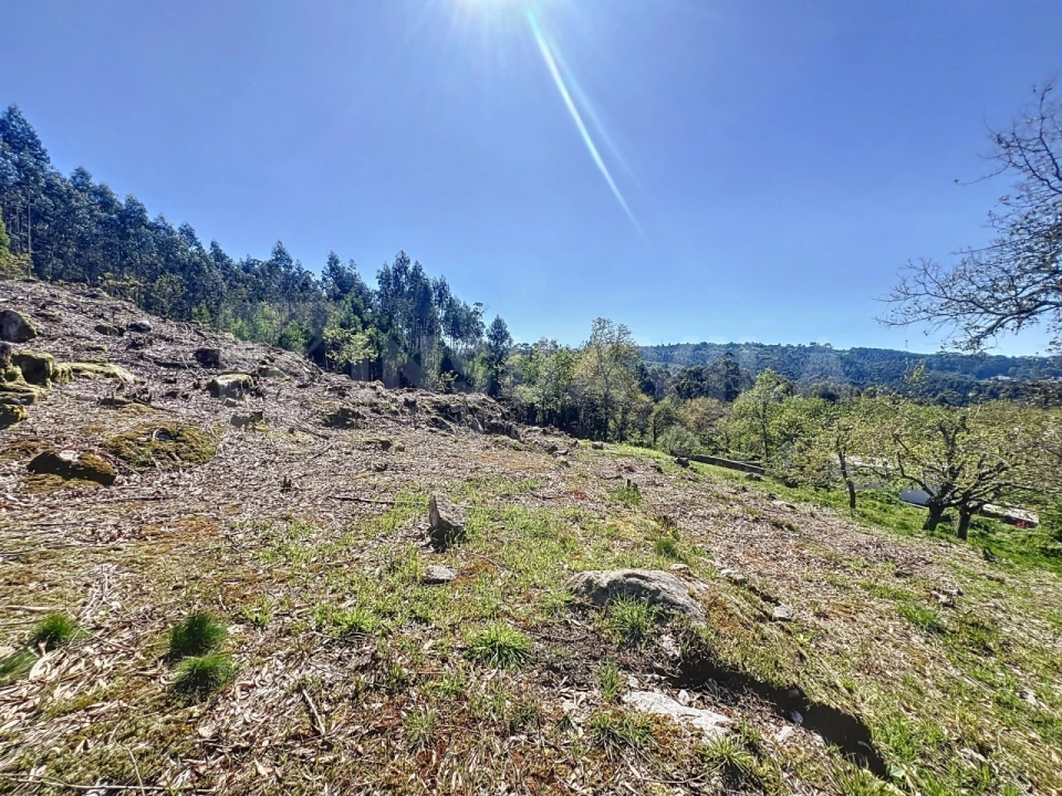 Terreno para Venda em Moledo e Cristelo Foto 7