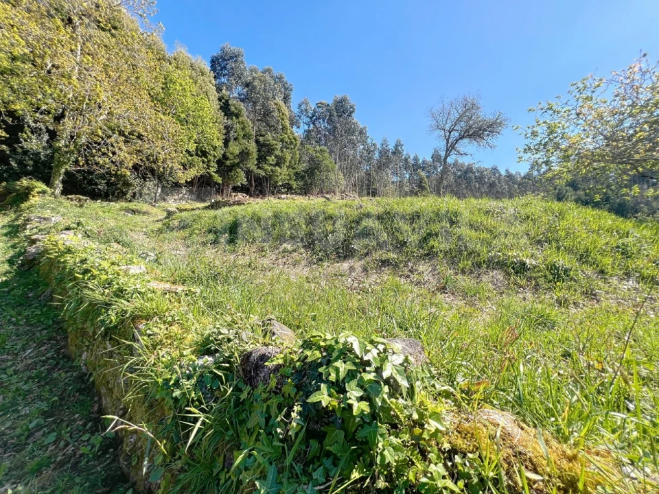 Terreno para Venda em Moledo e Cristelo Foto 9