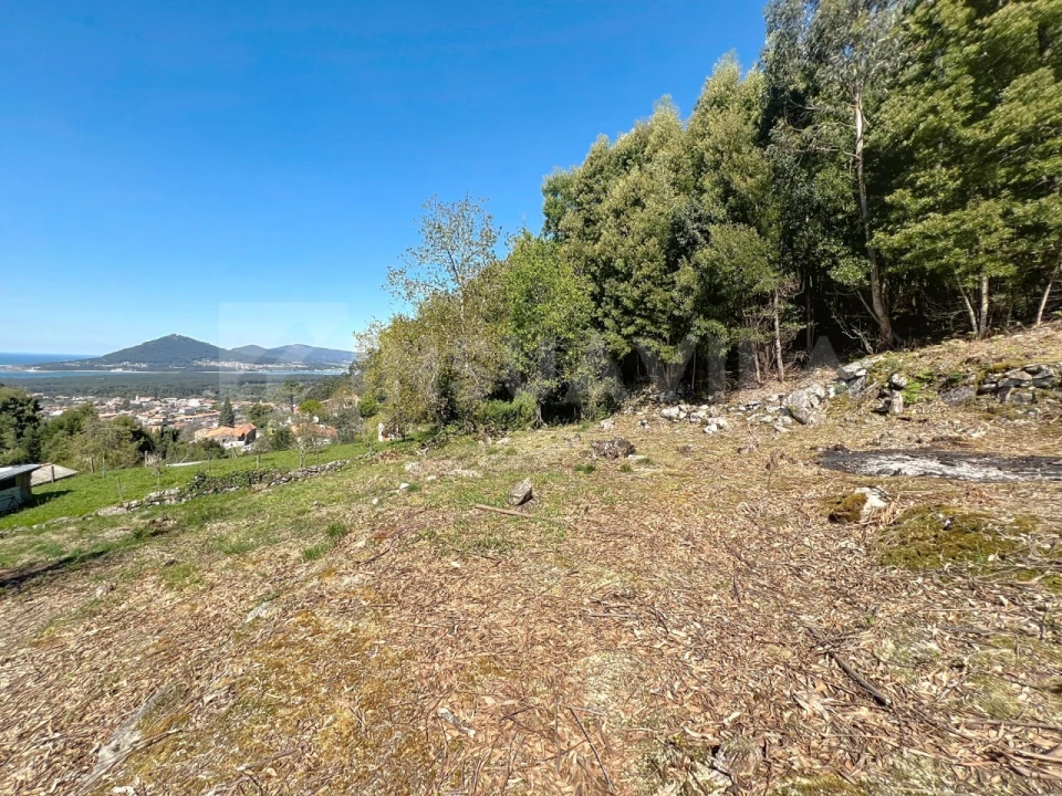 Terreno para Venda em Moledo e Cristelo Foto 11
