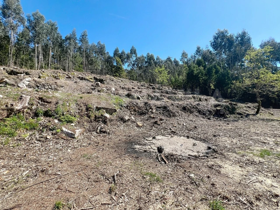 Terreno para Venda em Moledo e Cristelo Foto 15
