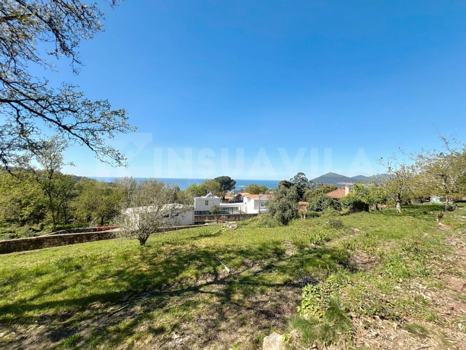 Terreno para Venda em Moledo e Cristelo Foto 5