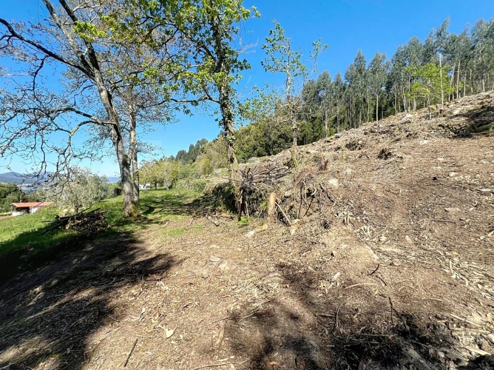 Terreno para Venda em Moledo e Cristelo Foto 8