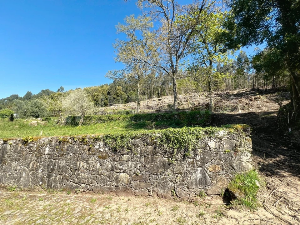 Terreno para Venda em Moledo e Cristelo Foto 10
